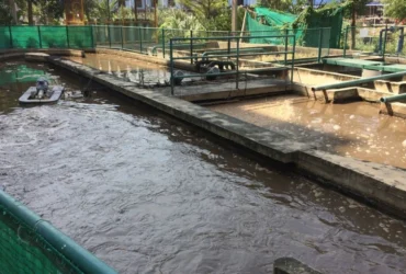 Industrial Evaporation with Oily Wastewater Guide